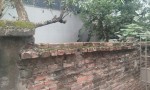 ĐẤT ĐẸP - GIÁ TỐT CHÍNH CHỦ CẦN BÁN ĐẤT THỔ CƯ -xã  PHỤNG CHÂU, CHƯƠNG MỸ, HÀ NỘI