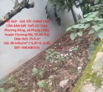 ĐẤT ĐẸP - GIÁ TỐT CHÍNH CHỦ CẦN BÁN ĐẤT THỔ CƯ -xã  PHỤNG CHÂU, CHƯƠNG MỸ, HÀ NỘI