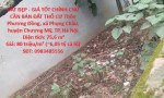 ĐẤT ĐẸP - GIÁ TỐT CHÍNH CHỦ CẦN BÁN ĐẤT THỔ CƯ -xã  PHỤNG CHÂU, CHƯƠNG MỸ, HÀ NỘI