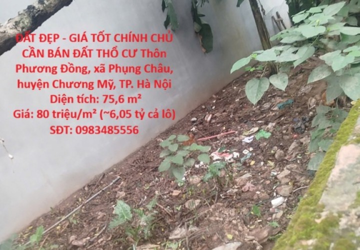 ĐẤT ĐẸP - GIÁ TỐT CHÍNH CHỦ CẦN BÁN ĐẤT THỔ CƯ -xã  PHỤNG CHÂU, CHƯƠNG MỸ, HÀ NỘI