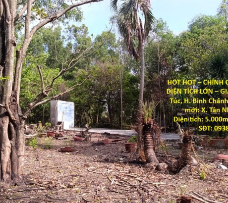 HOT HOT – CHÍNH CHỦ CẦN BÁN ĐẤT DIỆN TÍCH LỚN – GIÁ TỐT – Tại TT. Tân Túc, H. Bình Chánh, TP.HCM