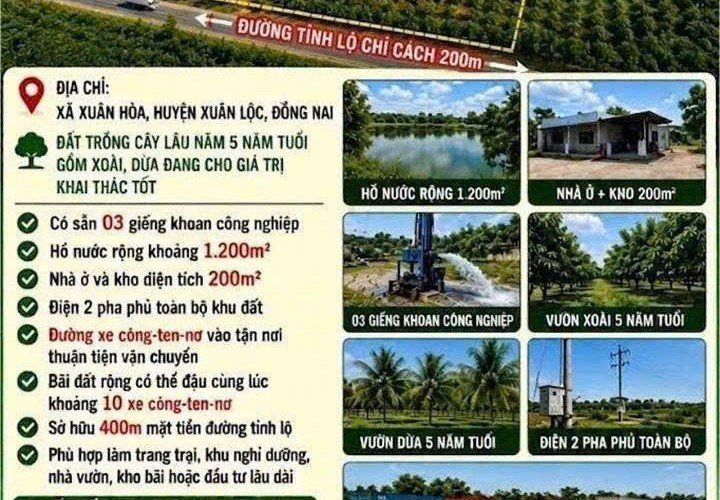 ĐẤT ĐẸP - GIÁ TỐT CHÍNH CHỦ Cần  Bán GẤP Lô đất 4ha Tại Xã Xuân Hoà, Xuân Lộc- Đồng Nai