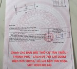 Chính Chủ BÁN ĐẤT THỔ CƯ TÂN TRIỀU - THẠNH PHÚ - CÁCH ĐT 768 CHỈ 200M