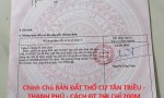Chính Chủ BÁN ĐẤT THỔ CƯ TÂN TRIỀU - THẠNH PHÚ - CÁCH ĐT 768 CHỈ 200M