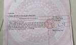Chính Chủ BÁN ĐẤT THỔ CƯ TÂN TRIỀU - THẠNH PHÚ - CÁCH ĐT 768 CHỈ 200M