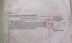 Chính Chủ BÁN ĐẤT THỔ CƯ TÂN TRIỀU - THẠNH PHÚ - CÁCH ĐT 768 CHỈ 200M