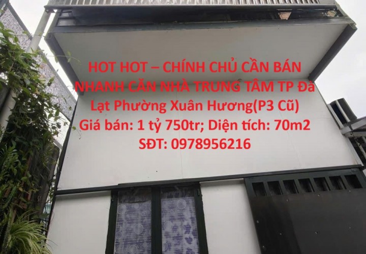 HOT HOT – CHÍNH CHỦ CẦN BÁN NHANH CĂN NHÀ TRUNG TÂM TP Đà Lạt PHường Xuân Hương(P3 Cũ)