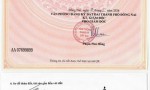 HÓT ĐẤT ĐẸP – GIÁ TỐT- CHÍNH CHỦ BÁN 5 LÔ ĐẤT LIỀN KỀ Tại Phường Tam Phước, TP Biên Hòa, Đồng Nai