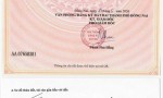 HÓT ĐẤT ĐẸP – GIÁ TỐT- CHÍNH CHỦ BÁN 5 LÔ ĐẤT LIỀN KỀ Tại Phường Tam Phước, TP Biên Hòa, Đồng Nai