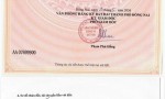 HÓT ĐẤT ĐẸP – GIÁ TỐT- CHÍNH CHỦ BÁN 5 LÔ ĐẤT LIỀN KỀ Tại Phường Tam Phước, TP Biên Hòa, Đồng Nai