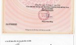 HÓT ĐẤT ĐẸP – GIÁ TỐT- CHÍNH CHỦ BÁN 5 LÔ ĐẤT LIỀN KỀ Tại Phường Tam Phước, TP Biên Hòa, Đồng Nai