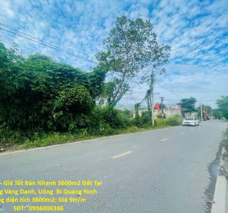 Đất Đẹp - Giá Tốt Bán Nhanh 3600m2 Đất Tại Phường Vàng Danh, Uông Bí Quảng Ninh