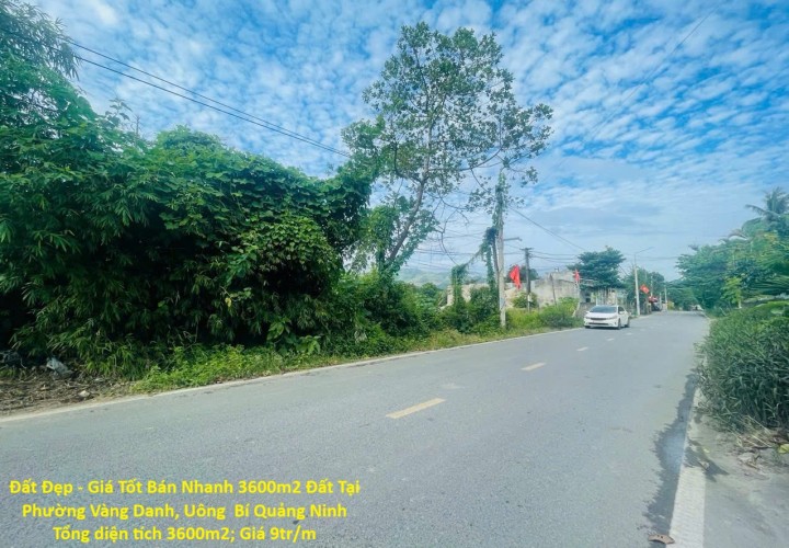 Đất Đẹp - Giá Tốt Bán Nhanh 3600m2 Đất Tại Phường Vàng Danh, Uông  Bí Quảng Ninh