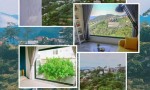 HOT HOT – CHÍNH CHỦ CẦN BÁN NHÀ – VIEW ĐẸP, ĐƯỜNG Ô TÔ QUAY ĐẦU Tại Đường Hoàng Hoa Thám, P.10, TP. Đà Lạt, Lâm Đồng