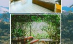 HOT HOT – CHÍNH CHỦ CẦN BÁN NHÀ – VIEW ĐẸP, ĐƯỜNG Ô TÔ QUAY ĐẦU Tại Đường Hoàng Hoa Thám, P.10, TP. Đà Lạt, Lâm Đồng