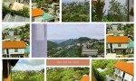 HOT HOT – CHÍNH CHỦ CẦN BÁN NHÀ – VIEW ĐẸP, ĐƯỜNG Ô TÔ QUAY ĐẦU Tại Đường Hoàng Hoa Thám, P.10, TP. Đà Lạt, Lâm Đồng