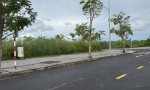 HOT HOT - Chính Chủ Bán Đất Đẹp Nền Góc 2 MẶT TIỀN Trung Tâm Xã Gành Hào – 154,9m² – Sổ Hồng Riêng – Giá Tốt Đầu Tư