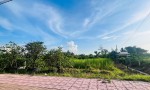 CƠ HỘI ĐẦU TƯ SIÊU HẤP DẪN - CHÍNH CHỦ CẦN BÁN 1.730m² ĐẤT MẶT TIỀN ĐƯỜNG BỜ KINH – Vĩnh Long