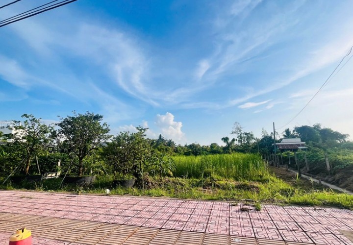 CƠ HỘI ĐẦU TƯ SIÊU HẤP DẪN - CHÍNH CHỦ CẦN BÁN 1.730m² ĐẤT MẶT TIỀN ĐƯỜNG BỜ KINH – Vĩnh Long