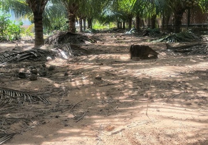 ĐẤT ĐẸP - ĐẦU TƯ SINH LỜI - Chính Chủ Cần Bán Lô Đất  xã Thạnh Đức, Tây Ninh