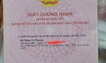 ĐẤT ĐẸP- GIÁ TỐT CHÍNH CHỦ CẦN BÁN NHANH LÔ ĐẤT tại tp Hạ Long, tỉnh Quảng Ninh