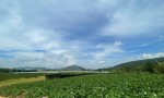 ĐẤT ĐẸP - GIÁ SIÊU TỐT - BÁN ĐẤT VIEW ĐẸP ĐỨC TRỌNG – LÂM ĐỒNG - Hơn 1Ha-  GIÁ 24 TỶ