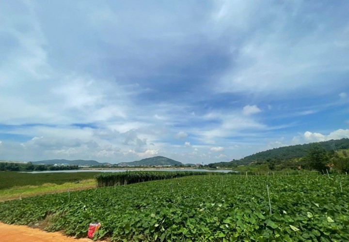 ĐẤT ĐẸP - GIÁ SIÊU TỐT - BÁN ĐẤT VIEW ĐẸP ĐỨC TRỌNG – LÂM ĐỒNG - Hơn 1Ha-  GIÁ 24 TỶ