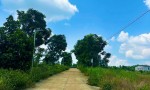 HOT HOT – CHÍNH CHỦ CẦN BÁN ĐẤT FULL THỔ CƯ – GIÁ TỐT  Tại Thôn 10, Xã Đắk Wer, Đắk R'Lấp, Đắk Nông