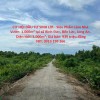 CƠ HỘI ĐẦU TƯ SINH LỜI - Siêu Phẩm Làm Nhà Vườn  1.000m² tại xã Bình Đức, Bến Lức, Long An.