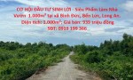 CƠ HỘI ĐẦU TƯ SINH LỜI - Siêu Phẩm Làm Nhà Vườn  1.000m² tại xã Bình Đức, Bến Lức, Long An.