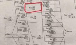 CƠ HỘI ĐẦU TƯ SINH LỜI - Siêu Phẩm Làm Nhà Vườn  1.000m² tại xã Bình Đức, Bến Lức, Long An.