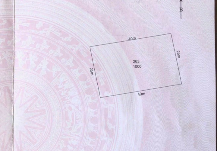 CƠ HỘI ĐẦU TƯ SINH LỜI - Siêu Phẩm Làm Nhà Vườn  1.000m² tại xã Bình Đức, Bến Lức, Long An.