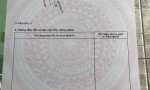 HOT HOT-CẦN BÁN 10 NỀN ĐẤT–GIÁ CHỈ 1,58 TỶ/NỀN –Xã Tân Bửu, Bến Lức, Long An-Giáp ranh Bình Chánh