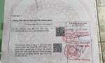 HOT HOT-CẦN BÁN 10 NỀN ĐẤT–GIÁ CHỈ 1,58 TỶ/NỀN –Xã Tân Bửu, Bến Lức, Long An-Giáp ranh Bình Chánh