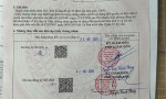 ĐẤT ĐẸP- GIÁ TỐT- Cần Bán Nhanh Lô Đất Khu Phân Lô Đồng Bộ Vị Trí Tại Quận 12, TP HCM
