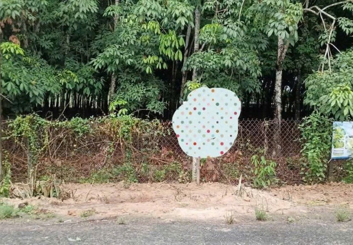 ĐẦU TƯ LÀ SINH LỜI - Chính Chủ Cần Bán Nhanh Lô Đất Ấp Phước An, xã Phước Thạnh, Tỉnh Tây Ninh.