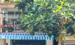 CHÍNH CHỦ CHUYỂN NHƯỢNG NHÀ MẶT TIỀN TRUNG TÂM TP. PLEIKU – VỊ TRÍ VÀNG Kinh Doanh