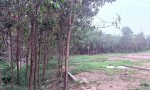 HOT HOT – CHÍNH CHỦ CẦN BÁN ĐẤT FULL THỔ CƯ Xã Tu Vũ, huyện Thanh Thủy, tỉnh Phú Thọ