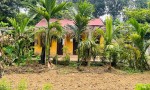 Chính chủ cần bán khu đất đẹp tiềm năng đầu tư cao Phương Hạnh , Xã Tân Tiến, Huyện Chương Mỹ, Hà Nội