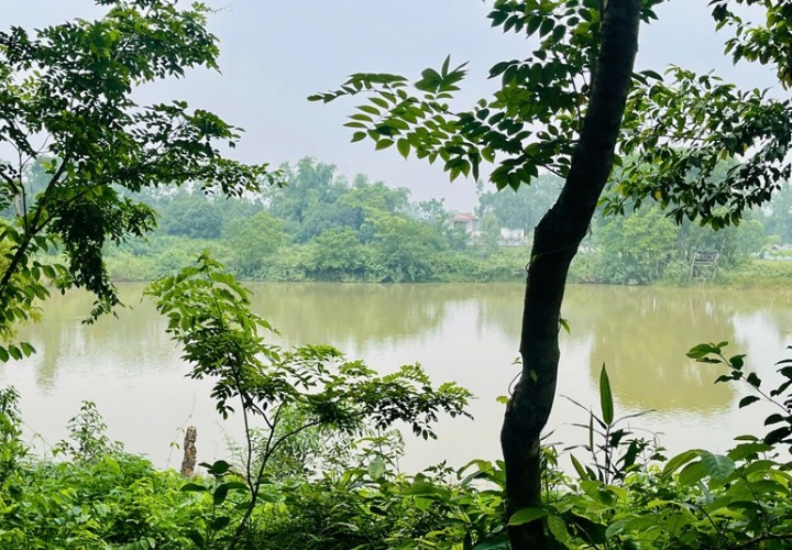 Chính chủ cần bán khu đất đẹp tiềm năng đầu tư cao Phương Hạnh , Xã Tân Tiến, Huyện Chương Mỹ, Hà Nội