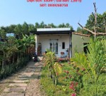 HOT HOT – CHÍNH CHỦ CẦN BÁN NHÀ VƯỜN TẠI Thôn An Thành, xã Duy Trung, Duy Xuyên, Quảng Nam