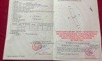 SỞ HỮU NGAY LÔ ĐẤT ĐẸP - GIÁ TỐT -  Cần Bán Nhanh 2 Lô Đất Liền Kề Vị Trí Tại Phường Tân Bình - Tp Hải Dương