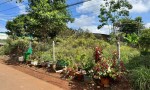 Đất Siêu Đẹp - Giá Đầu Tư Chính Chủ Cần Bán Nhanh đất Hàng Gòn-Long Khánh, Đồng Nai
