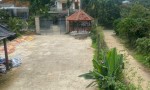 NHÀ ĐẸP – GIÁ ĐẦU TƯ  – CHÍNH CHỦ CẦN BÁN CĂN NHÀ GỖ VÀ ĐẤT TẠI Phường 3, TP. Bảo Lộc, Lâm Đồng