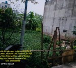 Chính chủ cần bán ngay và luôn mảnh đất ở Thượng Phúc, Tả Thanh Oai, Thanh Trì, Hà Nội