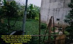Chính chủ cần bán ngay và luôn mảnh đất ở Thượng Phúc, Tả Thanh Oai, Thanh Trì, Hà Nội
