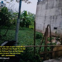 Chính chủ cần bán ngay và luôn mảnh đất ở Thượng Phúc, Tả Thanh Oai, Thanh Trì, Hà Nội