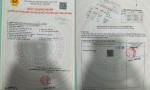CẦN SANG NHƯỢNG LẠI CHDV 4 TẦNG 8 PHÒNG VỪA Ở VÀ CÓ DÒNG TIỀN ỔN ĐỊNH Phường Tân Thới Hiệp Q12