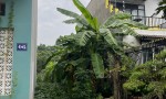 HOT HOT–CẦN BÁN ĐẤT NỀN KDC HƯNG THUẬN –VỊ TRÍ ĐẸP –Đ. Hùng Vương, TT.Trảng Bom,Trảng Bom, Đồng Nai
