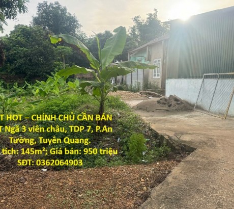 HOT HOT – CHÍNH CHỦ CẦN BÁN ĐẤT Ngã 3 viên châu, TDP 7, P.An Tường, Tuyên Quang